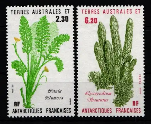 Französische Gebiete in der Antarktis (TAAF) 214-215 postfrisch #JY782