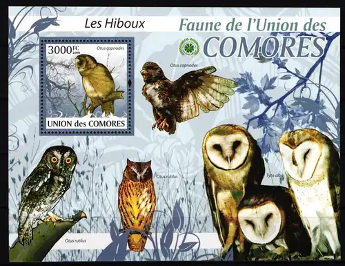 Komoren 2429 postfrisch Block mit / Eule #JH662