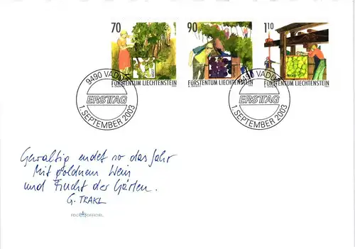 Liechtenstein Jahrgang 2003 gestempelt als FDC/ Ersttagsbriefe #JU675