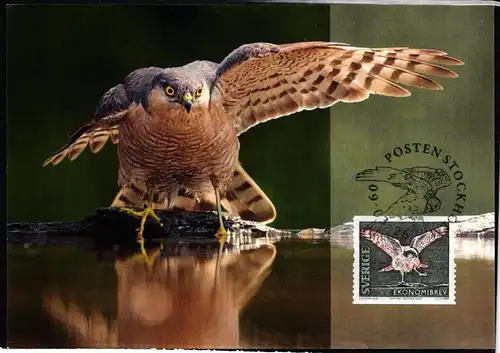 Schweden 2699 gestempelt als FDC, Eulen #KG949