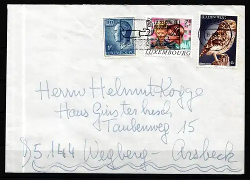 Luxemburg 1133 gestempelt auf Brief, Eulen #KJ241