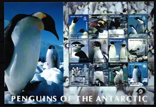 Brit. Antarktis Gebiete 369-380 postfrisch Pinguine #JV606