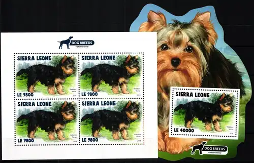 Sierra Leone Block 1588 + 10395 postfrisch als Kleinbogen, Hunde, Terrier #JV928