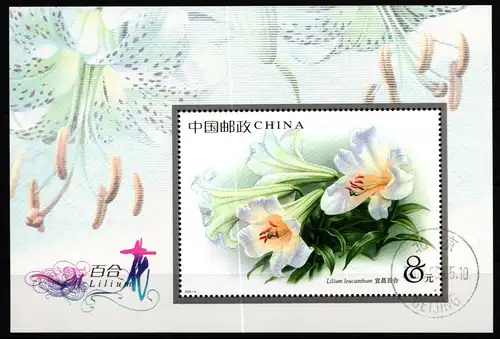 China 3429 gestempelt als Block 110 #KX126