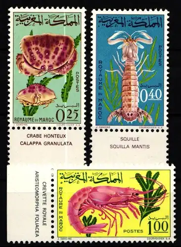Marokko 553-555 postfrisch #KX259