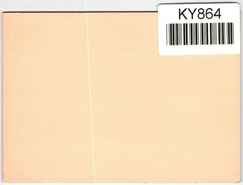 Berlin P 41 als Ganzsache Privatpostkarte #KY864