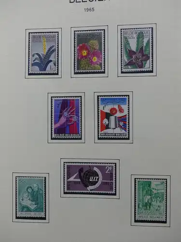 Belgien 1960-1974 postfrisch besammelt auf selbstgestalteten Seiten #LY825