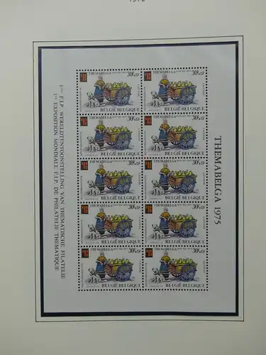 Belgien 1975-1990 postfrisch besammelt auf selbstgestalteten Seiten #LY824