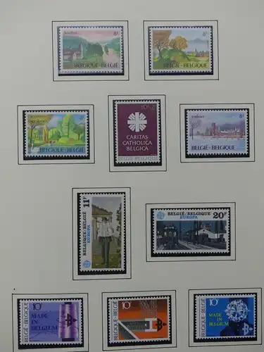 Belgien 1975-1990 postfrisch besammelt auf selbstgestalteten Seiten #LY824