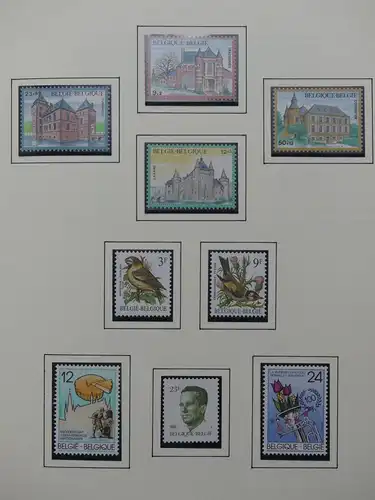 Belgien 1975-1990 postfrisch besammelt auf selbstgestalteten Seiten #LY824