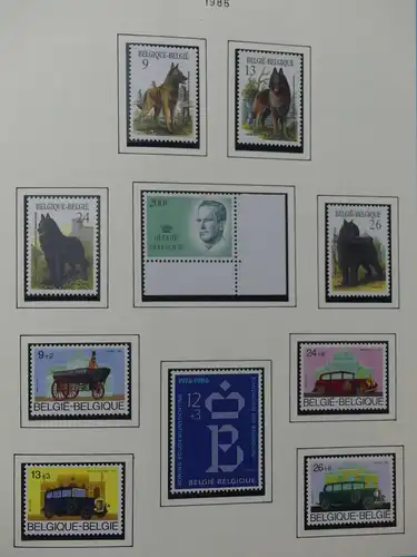 Belgien 1975-1990 postfrisch besammelt auf selbstgestalteten Seiten #LY824