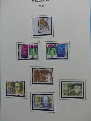 Belgien 1975-1990 postfrisch besammelt auf selbstgestalteten Seiten #LY824