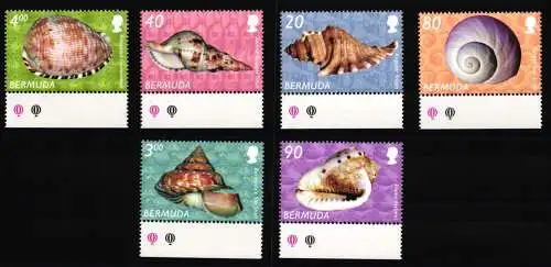 Bermuda 831, 835, 839, 843 und 844 postfrisch Muscheln #KC685