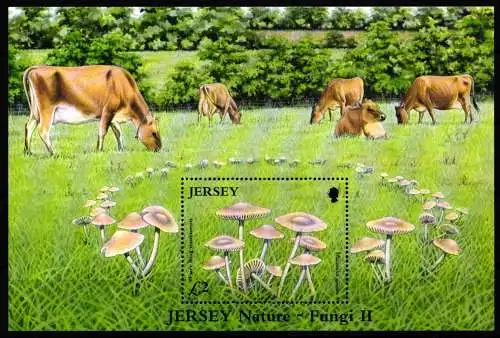 Großbritannien Jersey Block 51 mit 1206 postfrisch #NI306