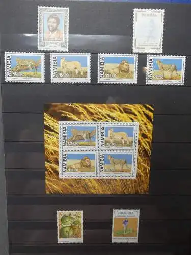 Namibia 1990-1999 ** mit über 500,- € KW auf Einsteck-Album #LZ051