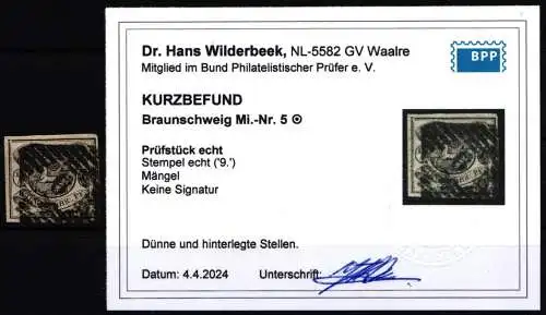 Braunschweig 5 gestempelt Kurzbefund Dr. Wilderbeek BPP #NL768