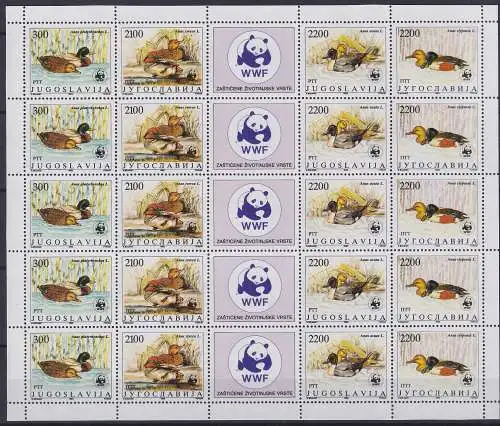 Jugoslawien 2328-2331 postfrisch als ZD-Bogen, Enten, WWF #NM191