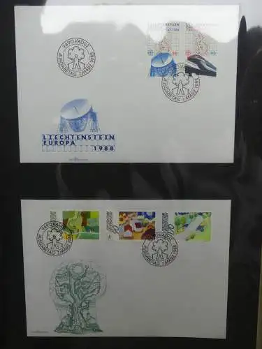 Liechtenstein Sammlung FDCs auf selbstgestalteten Seiten in 2 Binder #LZ370