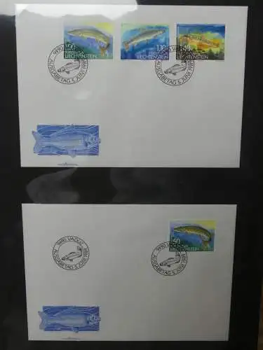 Liechtenstein Sammlung FDCs auf selbstgestalteten Seiten in 2 Binder #LZ370