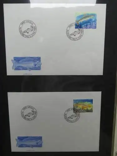 Liechtenstein Sammlung FDCs auf selbstgestalteten Seiten in 2 Binder #LZ370