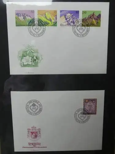 Liechtenstein Sammlung FDCs auf selbstgestalteten Seiten in 2 Binder #LZ370