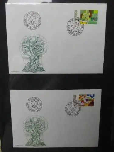 Liechtenstein Sammlung FDCs auf selbstgestalteten Seiten in 2 Binder #LZ370