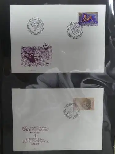 Liechtenstein Sammlung FDCs auf selbstgestalteten Seiten in 2 Binder #LZ370