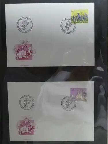 Liechtenstein Sammlung FDCs auf selbstgestalteten Seiten in 2 Binder #LZ370