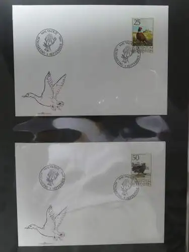 Liechtenstein Sammlung FDCs auf selbstgestalteten Seiten in 2 Binder #LZ370