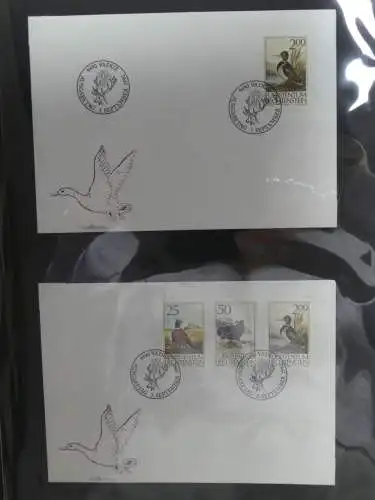 Liechtenstein Sammlung FDCs auf selbstgestalteten Seiten in 2 Binder #LZ370