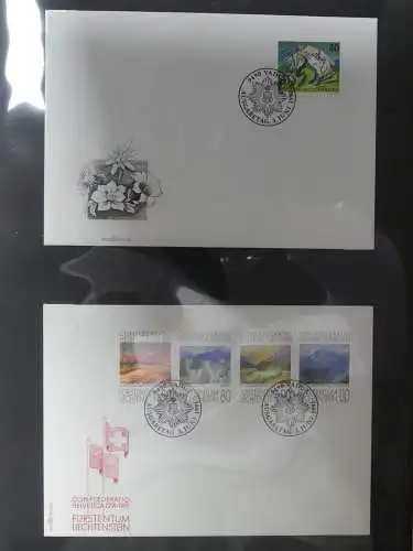 Liechtenstein Sammlung FDCs auf selbstgestalteten Seiten in 2 Binder #LZ370