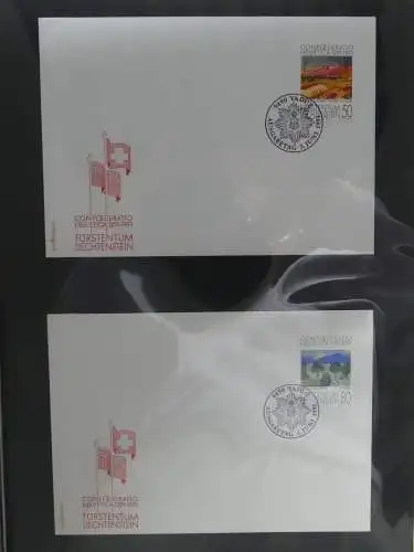 Liechtenstein Sammlung FDCs auf selbstgestalteten Seiten in 2 Binder #LZ370