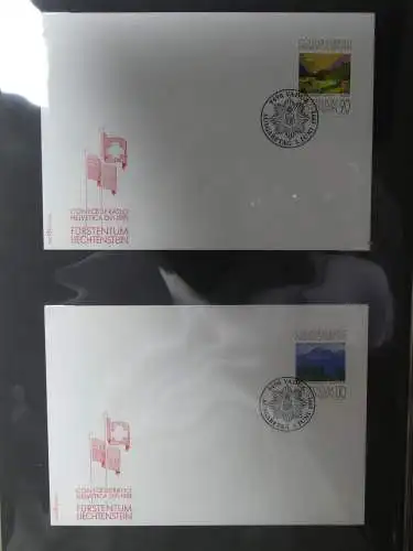 Liechtenstein Sammlung FDCs auf selbstgestalteten Seiten in 2 Binder #LZ370