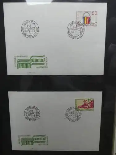 Liechtenstein Sammlung FDCs auf selbstgestalteten Seiten in 2 Binder #LZ370