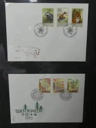 Liechtenstein Sammlung FDCs auf selbstgestalteten Seiten in 2 Binder #LZ370