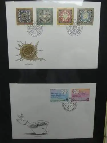 Liechtenstein Sammlung FDCs auf selbstgestalteten Seiten in 2 Binder #LZ370