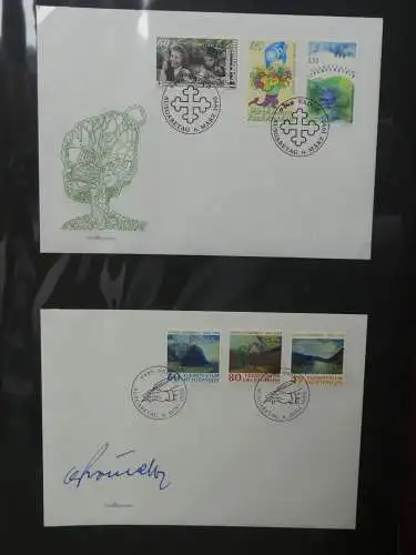 Liechtenstein Sammlung FDCs auf selbstgestalteten Seiten in 2 Binder #LZ370