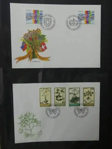 Liechtenstein Sammlung FDCs auf selbstgestalteten Seiten in 2 Binder #LZ370