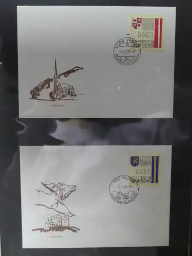 Liechtenstein Sammlung FDCs auf selbstgestalteten Seiten in 2 Binder #LZ370