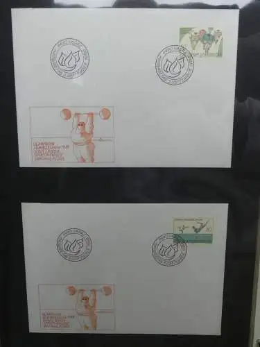 Liechtenstein Sammlung FDCs auf selbstgestalteten Seiten in 2 Binder #LZ370