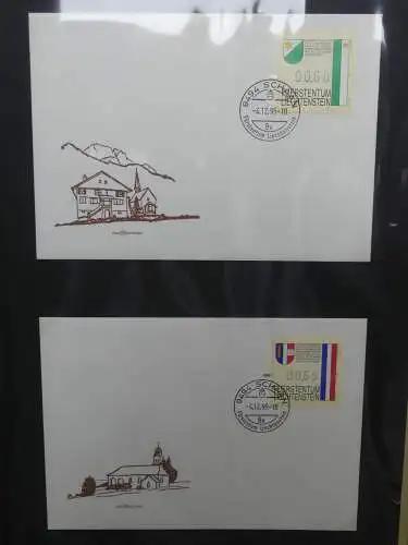 Liechtenstein Sammlung FDCs auf selbstgestalteten Seiten in 2 Binder #LZ370