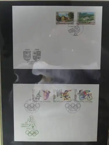 Liechtenstein Sammlung FDCs auf selbstgestalteten Seiten in 2 Binder #LZ370