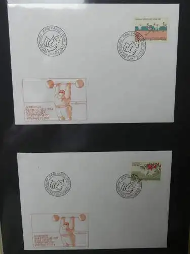 Liechtenstein Sammlung FDCs auf selbstgestalteten Seiten in 2 Binder #LZ370