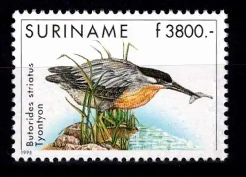 Surinam 1671 postfrisch Vögel #NV791