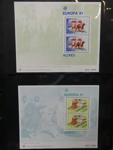 Europa Allgemein Blocklager postfrisch im Binder #LZ702