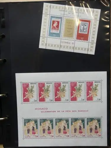 Europa Allgemein Blocklager postfrisch im Binder #LZ702