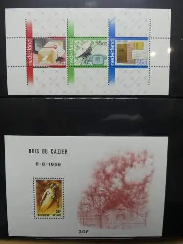 Europa Allgemein Blocklager postfrisch im Binder #LZ702