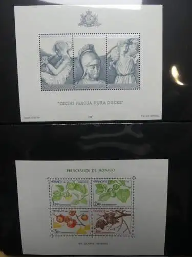 Europa Allgemein Blocklager postfrisch im Binder #LZ702