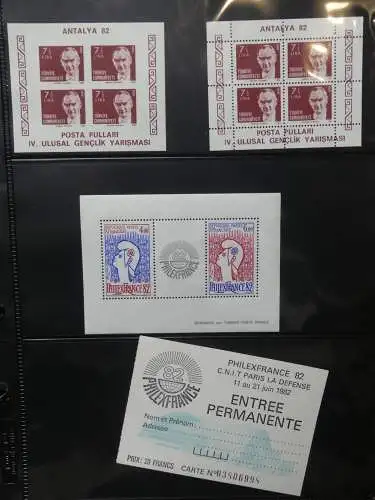 Europa Allgemein Blocklager postfrisch im Binder #LZ702