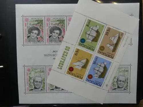 Europa Allgemein Blocklager postfrisch im Binder #LZ702